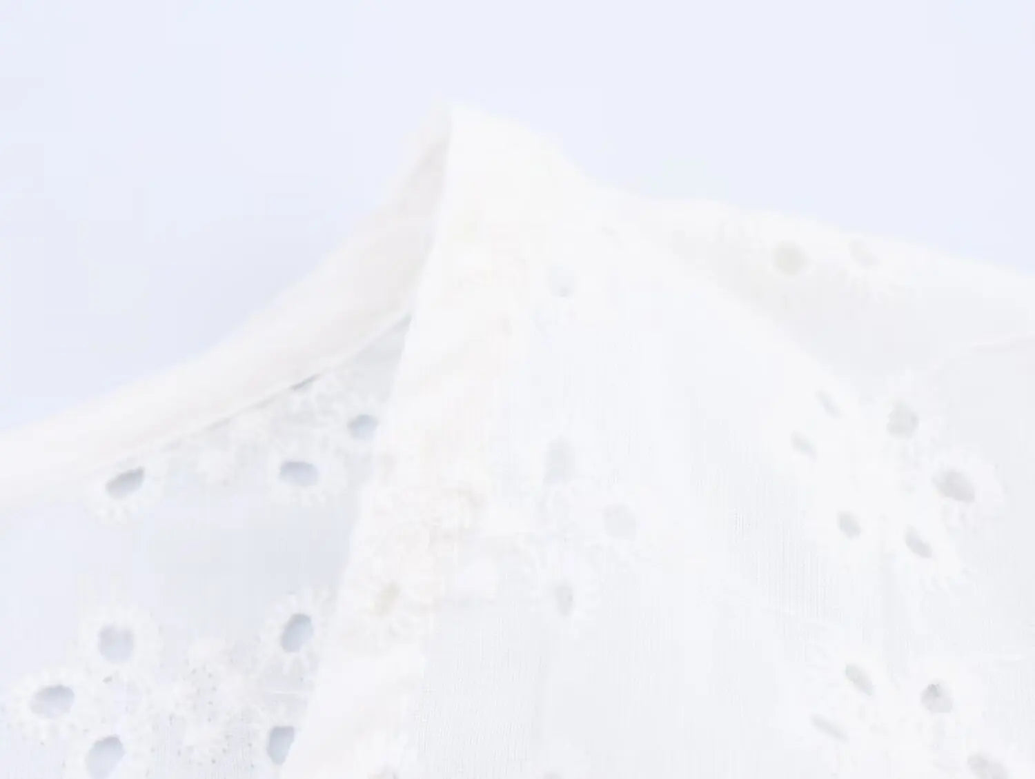 Openwork Embroidered White V-Neck Shirt