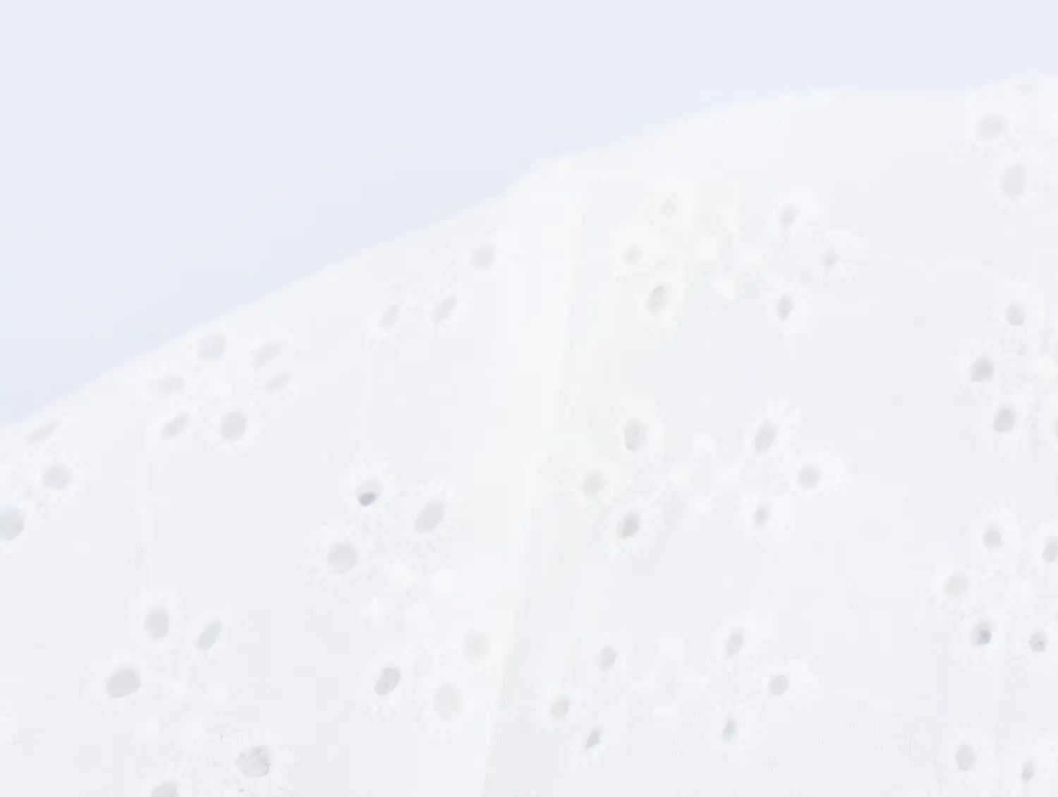 Openwork Embroidered White V-Neck Shirt